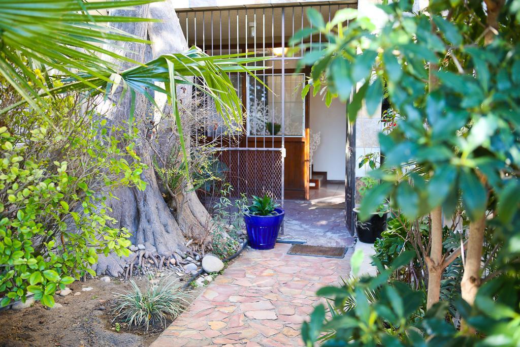 Oudtshoorn Homestay Accommodation Bagian luar foto